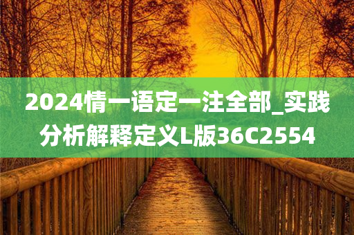 2024情一语定一注全部_实践分析解释定义L版36C2554