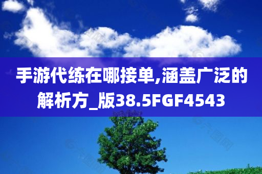 手游代练在哪接单,涵盖广泛的解析方_版38.5FGF4543