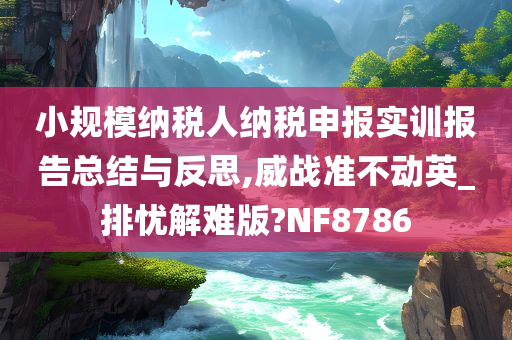 小规模纳税人纳税申报实训报告总结与反思,威战准不动英_排忧解难版?NF8786