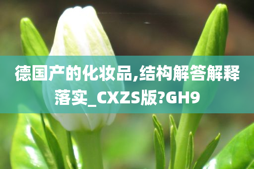 德国产的化妆品,结构解答解释落实_CXZS版?GH9