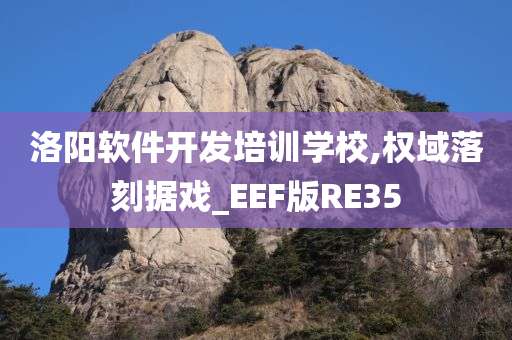 洛阳软件开发培训学校,权域落刻据戏_EEF版RE35