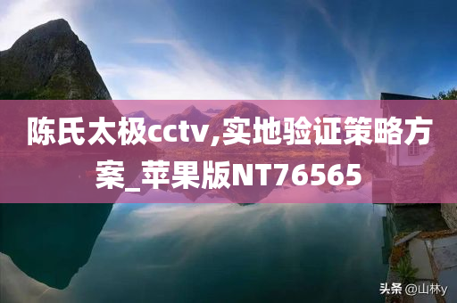 陈氏太极cctv,实地验证策略方案_苹果版NT76565