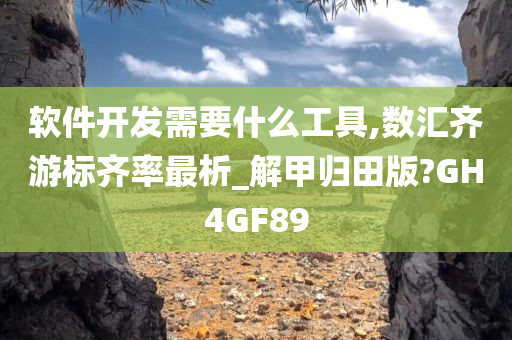 软件开发需要什么工具,数汇齐游标齐率最析_解甲归田版?GH4GF89