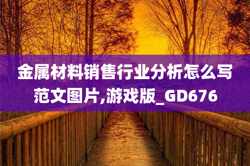 金属材料销售行业分析怎么写范文图片,游戏版_GD676