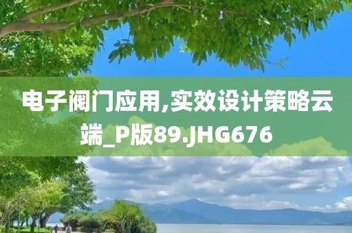 电子阀门应用,实效设计策略云端_P版89.JHG676