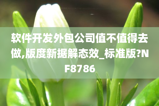 软件开发外包公司值不值得去做,版度新据解态效_标准版?NF8786