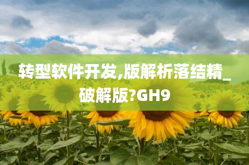 转型软件开发,版解析落结精_破解版?GH9