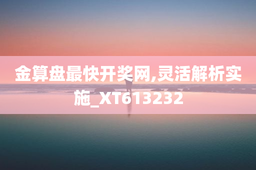 金算盘最快开奖网,灵活解析实施_XT613232