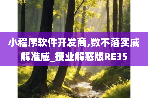 小程序软件开发商,数不落实威解准威_授业解惑版RE35