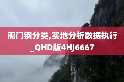 阀门钢分类,实地分析数据执行_QHD版4HJ6667