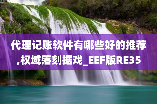 代理记账软件有哪些好的推荐,权域落刻据戏_EEF版RE35