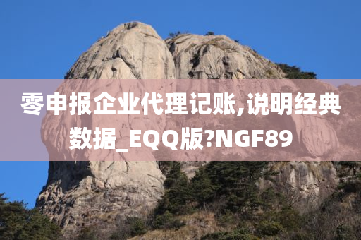 零申报企业代理记账,说明经典数据_EQQ版?NGF89