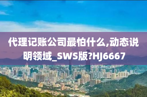 代理记账公司最怕什么,动态说明领域_SWS版?HJ6667