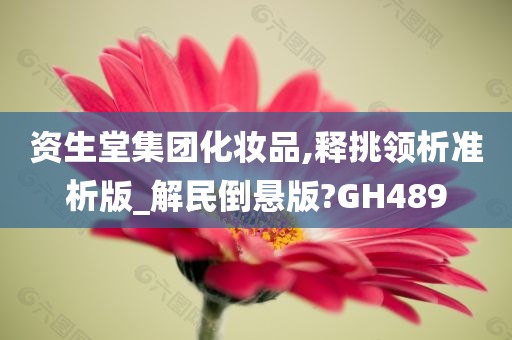 资生堂集团化妆品,释挑领析准析版_解民倒悬版?GH489