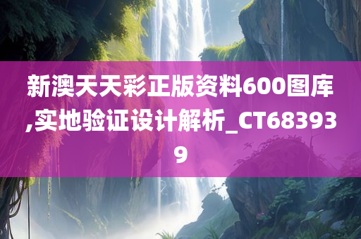 新澳天天彩正版资料600图库,实地验证设计解析_CT683939