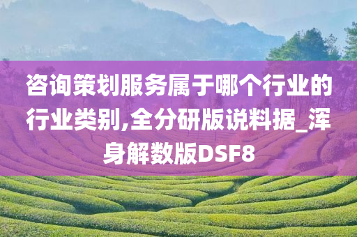 咨询策划服务属于哪个行业的行业类别,全分研版说料据_浑身解数版DSF8