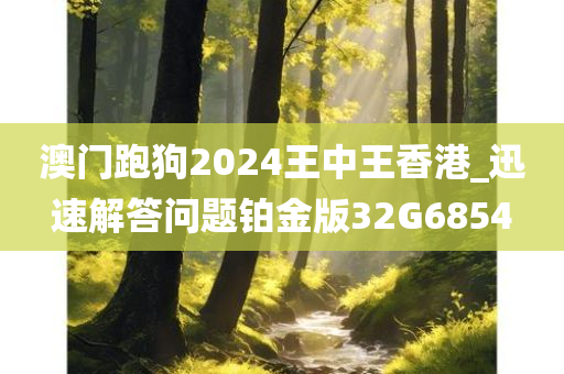 澳门跑狗2024王中王香港_迅速解答问题铂金版32G6854