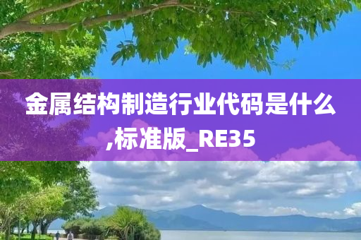 金属结构制造行业代码是什么,标准版_RE35