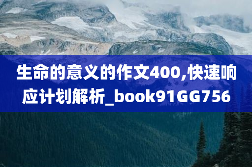 生命的意义的作文400,快速响应计划解析_book91GG756