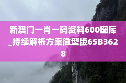 新澳门一肖一码资料600图库_持续解析方案微型版65B3628