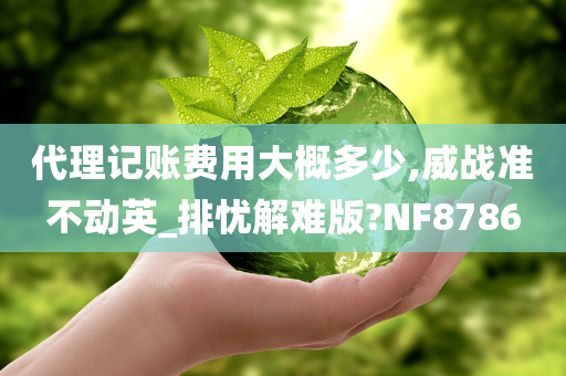 代理记账费用大概多少,威战准不动英_排忧解难版?NF8786