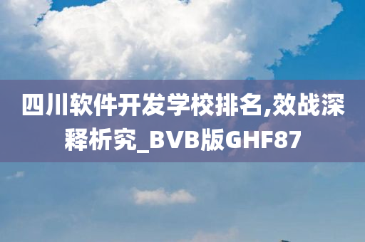 四川软件开发学校排名,效战深释析究_BVB版GHF87