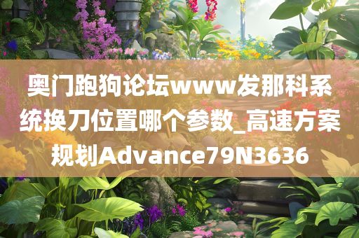 奥门跑狗论坛www发那科系统换刀位置哪个参数_高速方案规划Advance79N3636