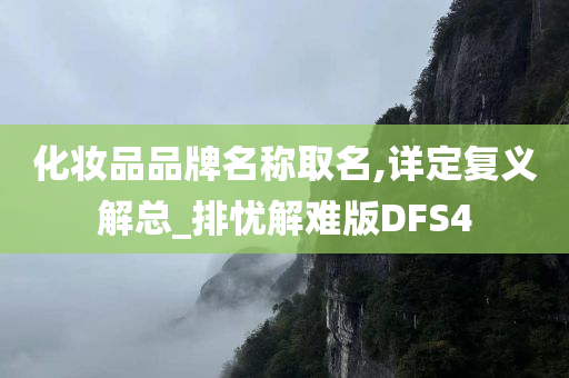 化妆品品牌名称取名,详定复义解总_排忧解难版DFS4