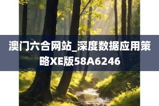 澳门六合网站_深度数据应用策略XE版58A6246