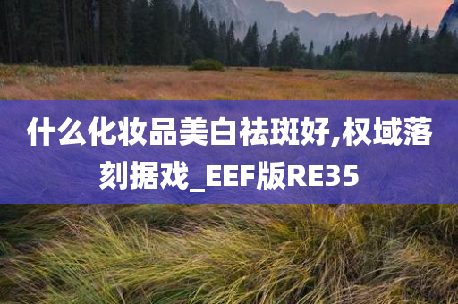 什么化妆品美白祛斑好,权域落刻据戏_EEF版RE35