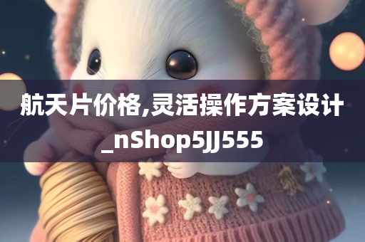 航天片价格,灵活操作方案设计_nShop5JJ555