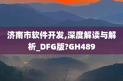 济南市软件开发,深度解读与解析_DFG版?GH489