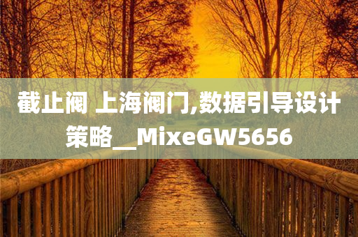 截止阀 上海阀门,数据引导设计策略__MixeGW5656