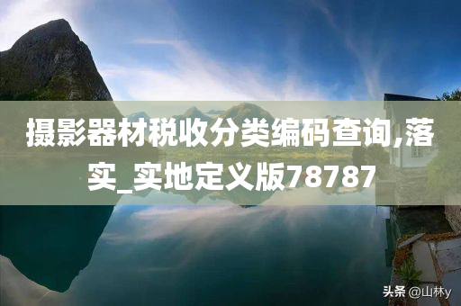 摄影器材税收分类编码查询,落实_实地定义版78787