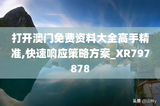 打开澳门免费资料大全高手精准,快速响应策略方案_XR797878