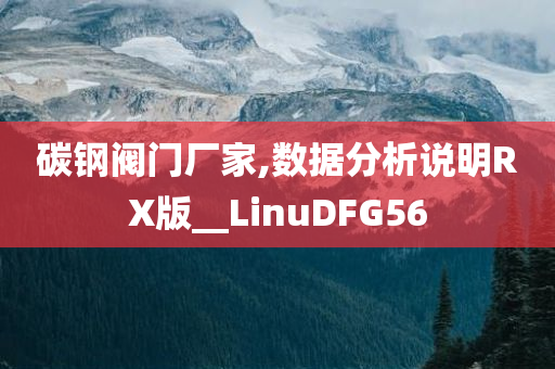 碳钢阀门厂家,数据分析说明RX版__LinuDFG56