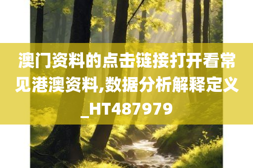 澳门资料的点击链接打开看常见港澳资料,数据分析解释定义_HT487979