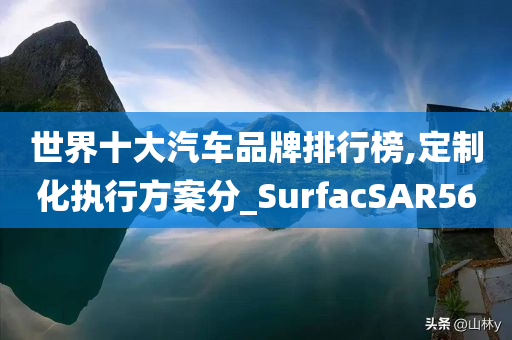 世界十大汽车品牌排行榜,定制化执行方案分_SurfacSAR56