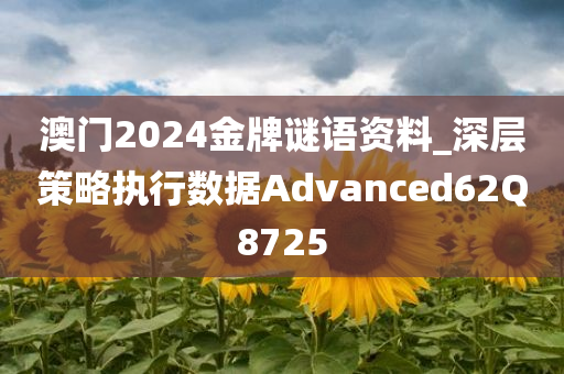 澳门2024金牌谜语资料_深层策略执行数据Advanced62Q8725