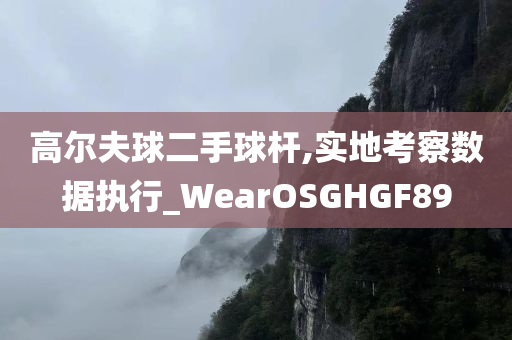 高尔夫球二手球杆,实地考察数据执行_WearOSGHGF89