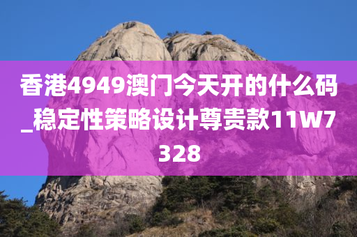 香港4949澳门今天开的什么码_稳定性策略设计尊贵款11W7328