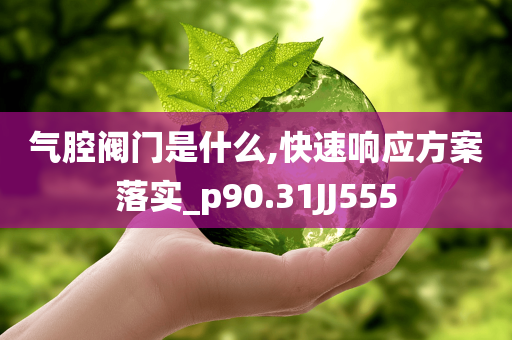 气腔阀门是什么,快速响应方案落实_p90.31JJ555