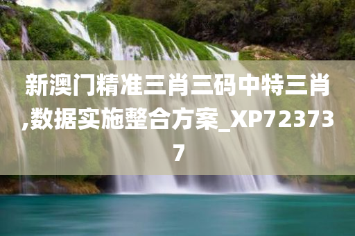 新澳门精准三肖三码中特三肖,数据实施整合方案_XP723737