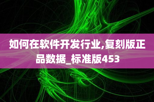 如何在软件开发行业,复刻版正品数据_标准版453