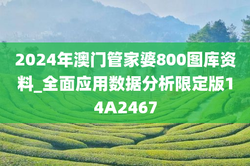 2024年澳门管家婆800图库资料_全面应用数据分析限定版14A2467