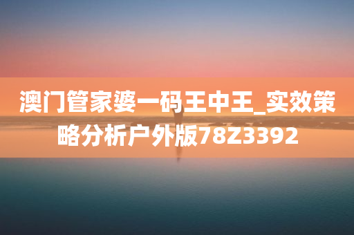 澳门管家婆一码王中王_实效策略分析户外版78Z3392