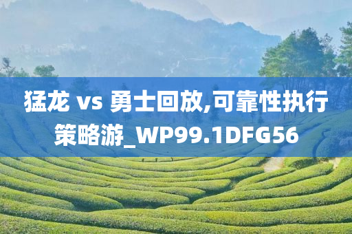 猛龙 vs 勇士回放,可靠性执行策略游_WP99.1DFG56