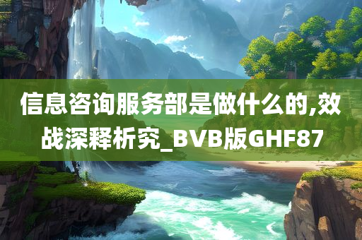 信息咨询服务部是做什么的,效战深释析究_BVB版GHF87