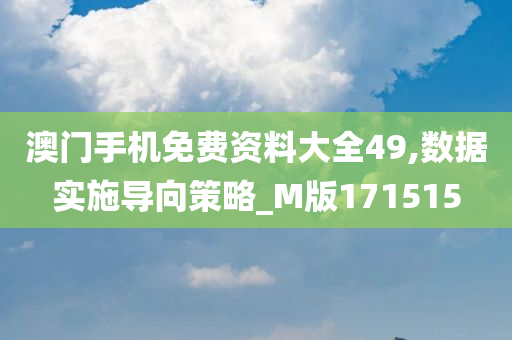 澳门手机免费资料大全49,数据实施导向策略_M版171515