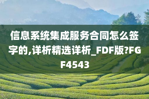 信息系统集成服务合同怎么签字的,详析精选详析_FDF版?FGF4543